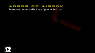 W o r d s o f W i s d o m
S o m e o n e o n c e c a l l e d m e ‘ j u s t a l a b ra t ’
 