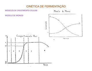 CINÉTICA DE FERMENTAÇÃO
MODELOS DE CRESCIMENTO CELULAR
MODELO DE MONOD
 