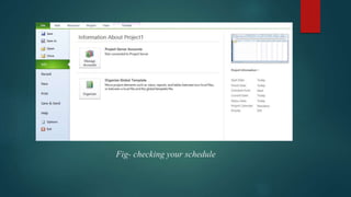 Introduction to Microsoft Project 2010 | PPTX