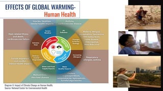 EFFECTS OF GLOBAL WARMING-
Human Health
Diagram 6: Impact of Climate Change on Human Health.
Source: National Center for Environmental Health
 