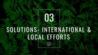 SOLUTIONS- INTERNATIONAL &
LOCAL EFFORTS
03
 