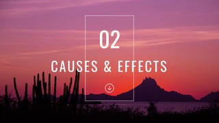 CAUSES & EFFECTS
02
 
