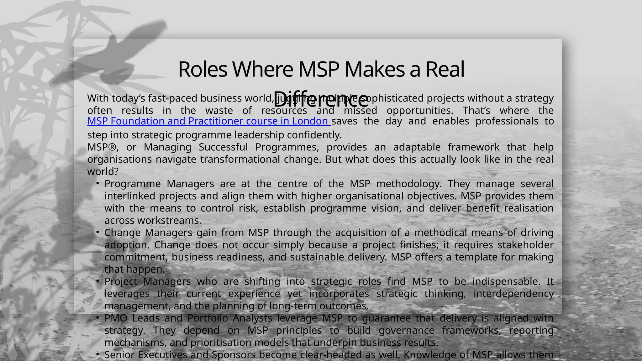 MSP in Action Real-World Roles Where It Makes a Difference.pptx