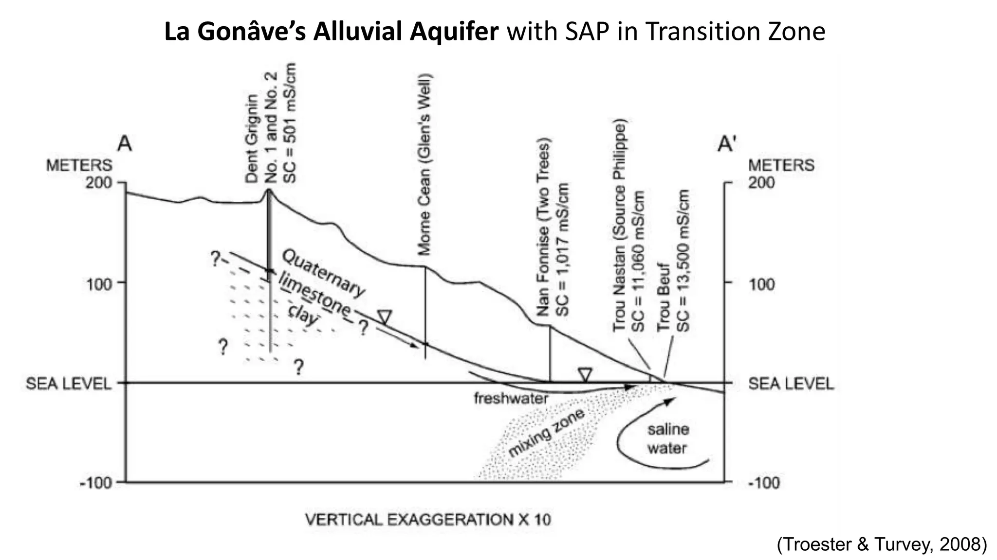 (Troester & Turvey, 2008)
La Gonâve’s Alluvial Aquifer with SAP in Transition Zone
 