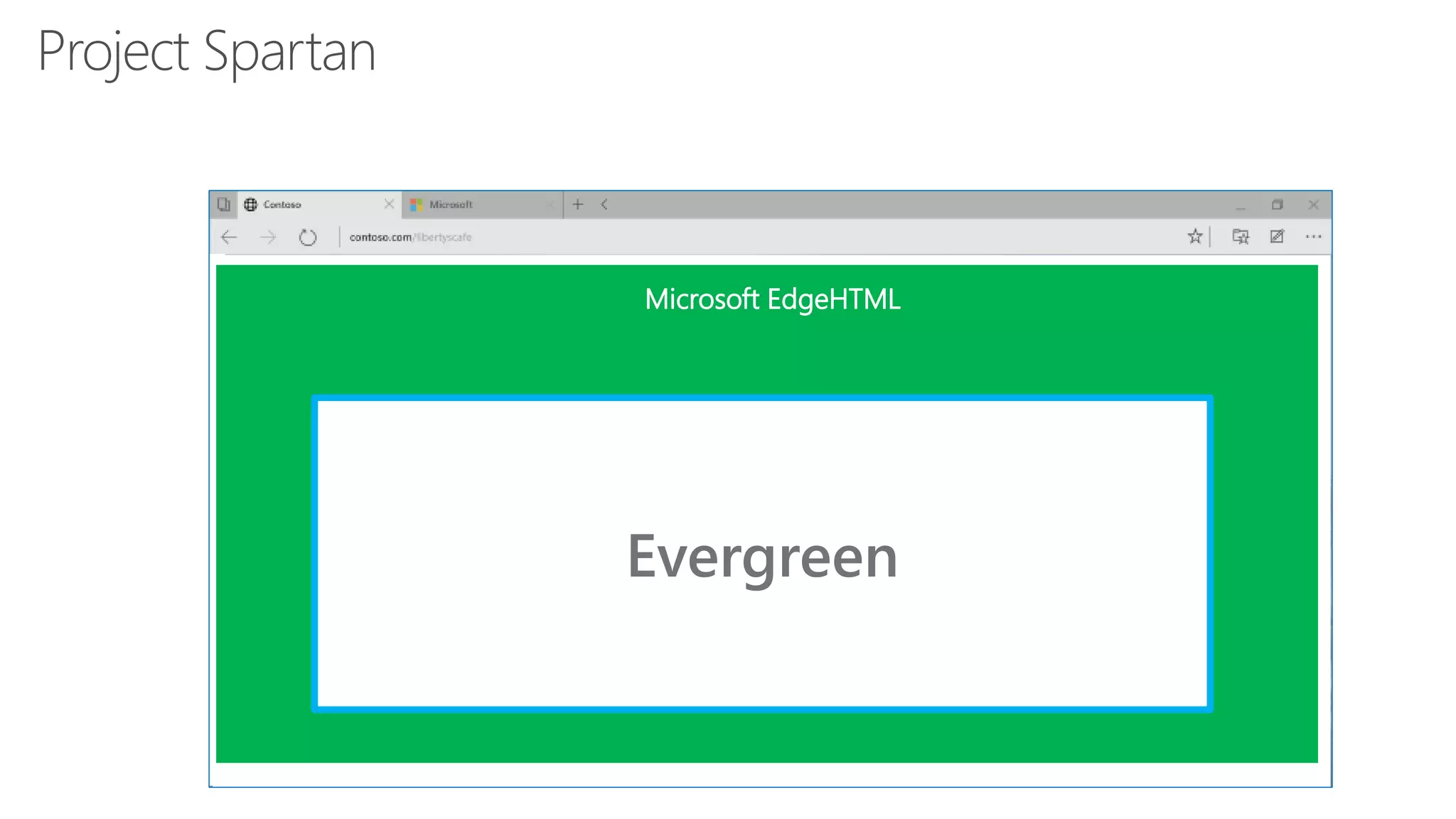 Evergreen
Microsoft EdgeHTML
 