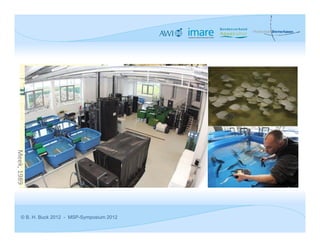 Meek, 1989




      © B. H. Buck 2012 - MSP-Symposium 2012
 