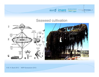 Seaweed cultivation

                                                          longlines
                                                          ladder
                                                          grid




© B. H. Buck 2012 - MSP-Symposium 2012
 