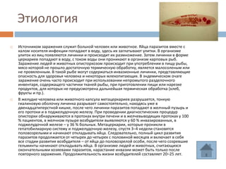 Ms power point оркина | PPT