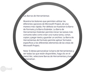 Ms project