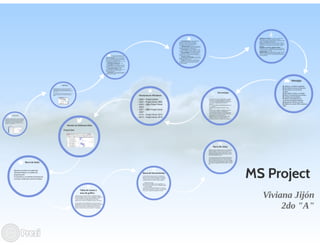 Ms project