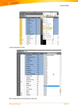 Vincent ISOZ
Microsoft Project 210/935
et allez chercher Text30:
Puis ensuite faites un clic droit sur son nom:
 