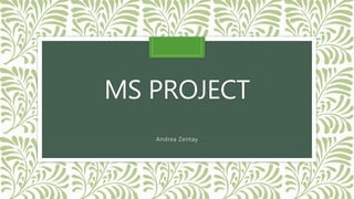MS PROJECT
Andrea Zentay
 