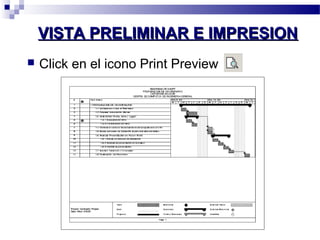 VVIISSTTAA PPRREELLIIMMIINNAARR EE IIMMPPRREESSIIOONN 
 Click en el icono Print Preview 
 