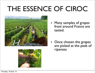 THE ESSENCE OF CIROC
                         • Many samples of grapes
                           from around France are
                           tasted.


                         • Once chosen the grapes
                           are picked at the peak of
                           ripeness

                         	
                         	


Thursday, 18 April, 13
 