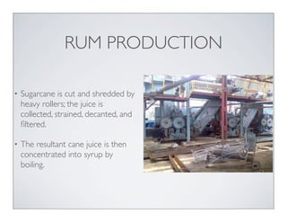 • Sugarcane is cut and shredded by
heavy rollers; the juice is
collected, strained, decanted, and
ﬁltered.
• The resultant cane juice is then
concentrated into syrup by
boiling.
RUM PRODUCTION
 