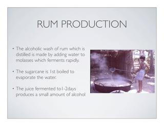 • The alcoholic wash of rum which is
distilled is made by adding water to
molasses which ferments rapidly.
• The sugarcane is 1st boiled to
evaporate the water.
• The juice fermented to1-2days
produces a small amount of alcohol
RUM PRODUCTION
 
