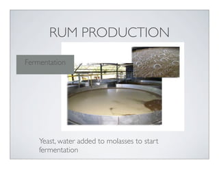 Yeast, water added to molasses to start
fermentation
Fermentation
RUM PRODUCTION
 