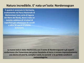 È quanto è avvenuto in Germania,
esattamente nel Parco Nazionale di
Wattenmeer (una sorta di laguna
del Mare del Nord), dove è nato un
isolotto sabbioso di 14 ettari di
superficie già colonizzato da uccelli
e oltre 50 specie di piante
autoctone.
Natura incredibile. E’ nata un’isola: Norderoogsan
La nuova isola è stata ribattezzata con il nome di Norderoogsand e gli esperti
confermano che l’emersione del primo fazzoletto di terra è iniziato improvvisamente
una decina di anni fa, complici i venti, le correnti e le perfette condizioni
meteorologiche.
 