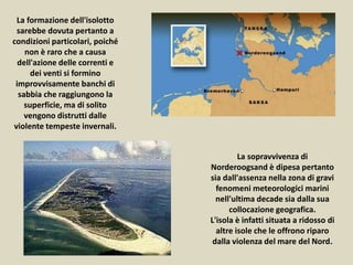La sopravvivenza di
Norderoogsand è dipesa pertanto
sia dall'assenza nella zona di gravi
fenomeni meteorologici marini
nell'ultima decade sia dalla sua
collocazione geografica.
L'isola è infatti situata a ridosso di
altre isole che le offrono riparo
dalla violenza del mare del Nord.
La formazione dell'isolotto
sarebbe dovuta pertanto a
condizioni particolari, poiché
non è raro che a causa
dell'azione delle correnti e
dei venti si formino
improvvisamente banchi di
sabbia che raggiungono la
superficie, ma di solito
vengono distrutti dalle
violente tempeste invernali.
 
