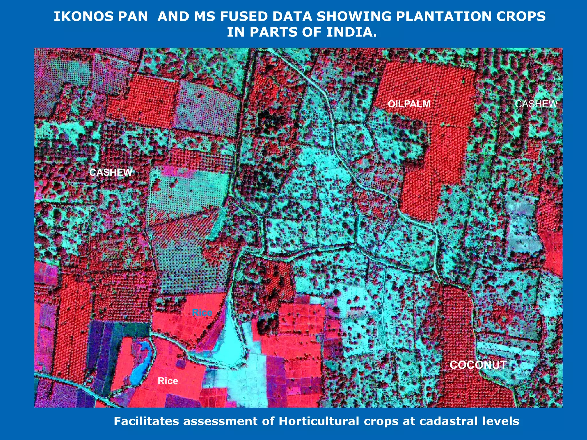 IKONOS PAN AND MS FUSED DATA SHOWING PLANTATION CROPS
                   IN PARTS OF INDIA.




                                                 OILPALM              CASHEW




   CASHEW




                    Rice




                                                           COCONUT
             Rice



      Facilitates assessment of Horticultural crops at cadastral levels
 