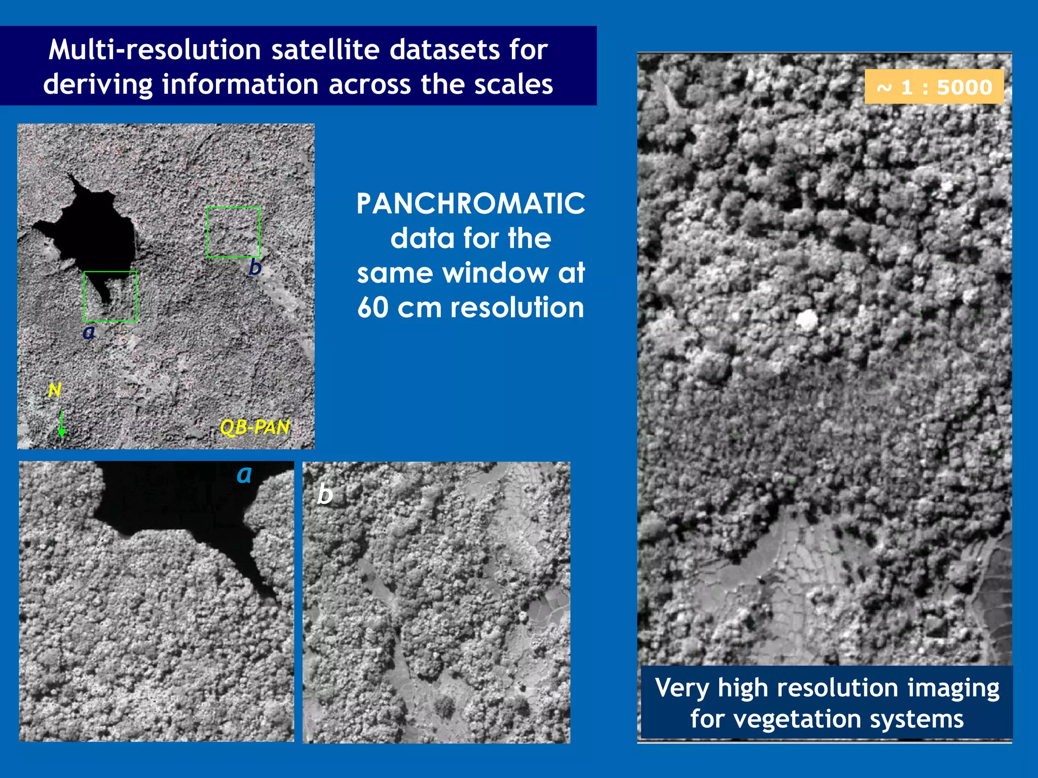 Multi-resolution satellite datasets for
deriving information across the scales                        ~ 1 : 5000




                          PANCHROMATIC
                            data for the
               b          same window at
                          60 cm resolution
    a

N
             QB-PAN

              a
                      b




                                             Very high resolution imaging
                                               for vegetation systems
 