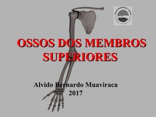 OSSOS DOS MEMBROSOSSOS DOS MEMBROS
SUPERIORESSUPERIORES
Alvido Bernardo Muaviraca
2017
 