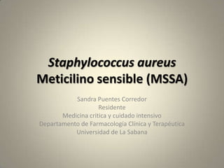 Staphylococcus aureus
Meticilino sensible (MSSA)
Sandra Puentes Corredor
Residente
Medicina critica y cuidado intensivo
Departamento de Farmacología Clínica y Terapéutica
Universidad de La Sabana
 