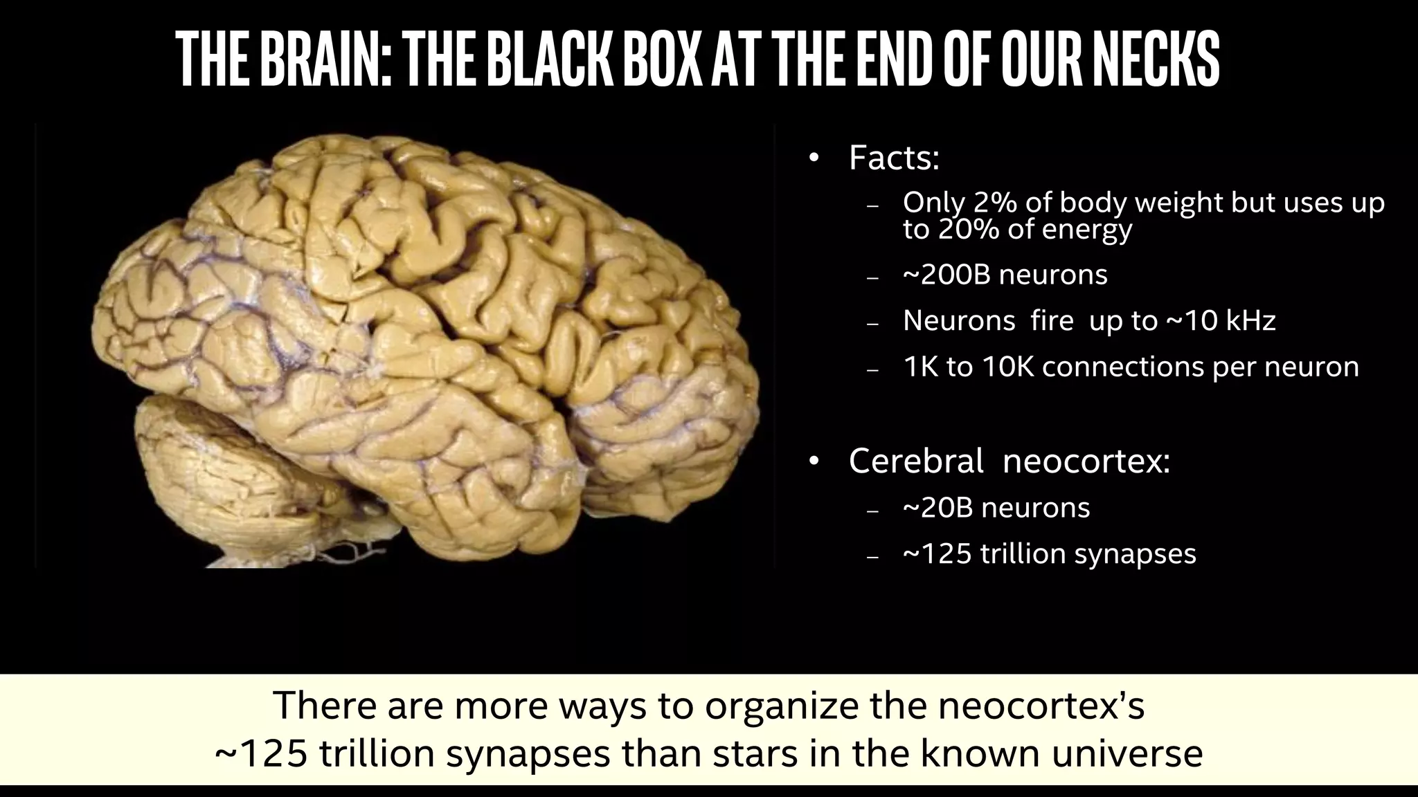 26
Thebrain:Theblackboxattheendofournecks
• Facts:
 Only 2% of body weight but uses up
to 20% of energy
 ~200B neurons
 Neurons fire up to ~10 kHz
 1K to 10K connections per neuron
• Cerebral neocortex:
 ~20B neurons
 ~125 trillion synapses
There are more ways to organize the neocortex’s
~125 trillion synapses than stars in the known universe
 