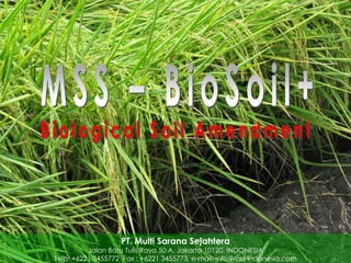 Biological Rice Stubble Degradation

PT. Multi Sarana Sejahtera

Jalan Batu Tulis Raya 50 A, Jakarta 10120. INDONESIA
Telp: +6221 3455772 Fax : +6221 3455773, e-mail: info@mss-indonesia.com

 
