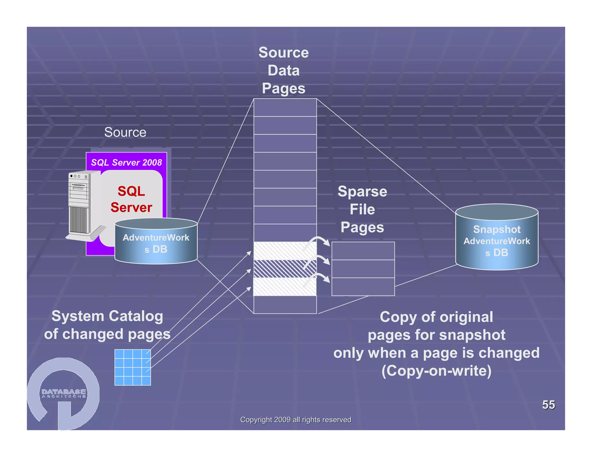 SQL Server Workshop Paul Bertucci