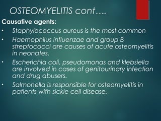 OSTEOMYELITIS cont….
Causative agents:
• Staphylococcus aureus is the most common
• Haemophilus influenzae and group B
streptococci are causes of acute osteomyelitis
in neonates.
• Escherichia coli, pseudomonas and klebsiella
are involved in cases of genitourinary infection
and drug abusers.
• Salmonella is responsible for osteomyelitis in
patients with sickle cell disease.
 