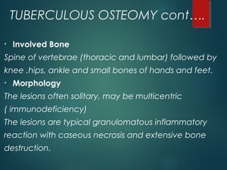 TUBERCULOUS OSTEOMY cont….
• Involved Bone
Spine of vertebrae (thoracic and lumbar) followed by
knee ,hips, ankle and small bones of hands and feet.
• Morphology
The lesions often solitary, may be multicentric
( immunodeficiency)
The lesions are typical granulomatous inflammatory
reaction with caseous necrosis and extensive bone
destruction.
 