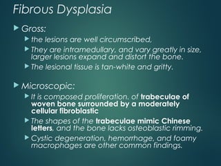 Fibrous Dysplasia
 Gross:
 the lesions are well circumscribed,
 They are intramedullary, and vary greatly in size,
larger lesions expand and distort the bone.
 The lesional tissue is tan-white and gritty.
 Microscopic:
 It is composed proliferation. of trabeculae of
woven bone surrounded by a moderately
cellular fibroblastic
 The shapes of the trabeculae mimic Chinese
letters, and the bone lacks osteoblastic rimming.
 Cystic degeneration, hemorrhage, and foamy
macrophages are other common findings.
 