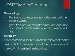 OSTEOMALACIA cont…
Morphology
• The bone contours are not affected, but the
bone is weak.
• gross fractures or microfractures are common,
and affect mainly vertebrae, hips, wrists and
ribs.
Histology
Osteomalacia is seen as thickened layer of matrix
pink on H & E arranged about the more basophilic
normally mineralized trabeculae.
 