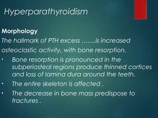 Hyperparathyroidism
Morphology
The hallmark of PTH excess …….is increased
osteoclastic activity, with bone resorption.
• Bone resorption is pronounced in the
subperiosteal regions produce thinned cortices
and loss of lamina dura around the teeth.
• The entire skeleton is affected .
• The decrease in bone mass predispose to
fractures .
 