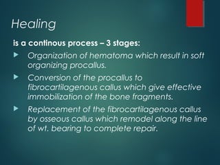Healing
is a continous process – 3 stages:
 Organization of hematoma which result in soft
organizing procallus.
 Conversion of the procallus to
fibrocartilagenous callus which give effective
immobilization of the bone fragments.
 Replacement of the fibrocartilagenous callus
by osseous callus which remodel along the line
of wt. bearing to complete repair.
 