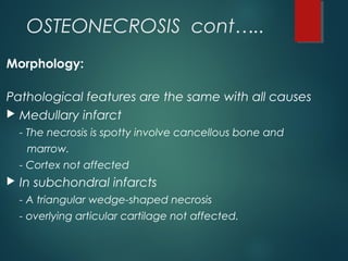 OSTEONECROSIS cont…..
Morphology:
Pathological features are the same with all causes
 Medullary infarct
- The necrosis is spotty involve cancellous bone and
marrow.
- Cortex not affected
 In subchondral infarcts
- A triangular wedge-shaped necrosis
- overlying articular cartilage not affected.
 