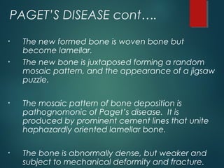 PAGET’S DISEASE cont….
• The new formed bone is woven bone but
become lamellar.
• The new bone is juxtaposed forming a random
mosaic pattern, and the appearance of a jigsaw
puzzle.
• The mosaic pattern of bone deposition is
pathognomonic of Paget’s disease. It is
produced by prominent cement lines that unite
haphazardly oriented lamellar bone.
• The bone is abnormally dense, but weaker and
subject to mechanical deformity and fracture.
 