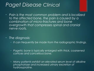Paget Disease Clinical
• Pain is the most common problem and is localized
to the affected bone, the pain is caused by a
combination of micro-fractures and bone
overgrowth that compresses spinal and cranial
nerve roots.
• The diagnosis:
– It can frequently be made from the radiographic findings.
– Pagetic bone is typically enlarged with thick, coarsened
cortices and cancellous bone.
– Many patients exhibit an elevated serum level of alkaline
phosphatase and increased urinary excretion of
hydroxyproline.
 