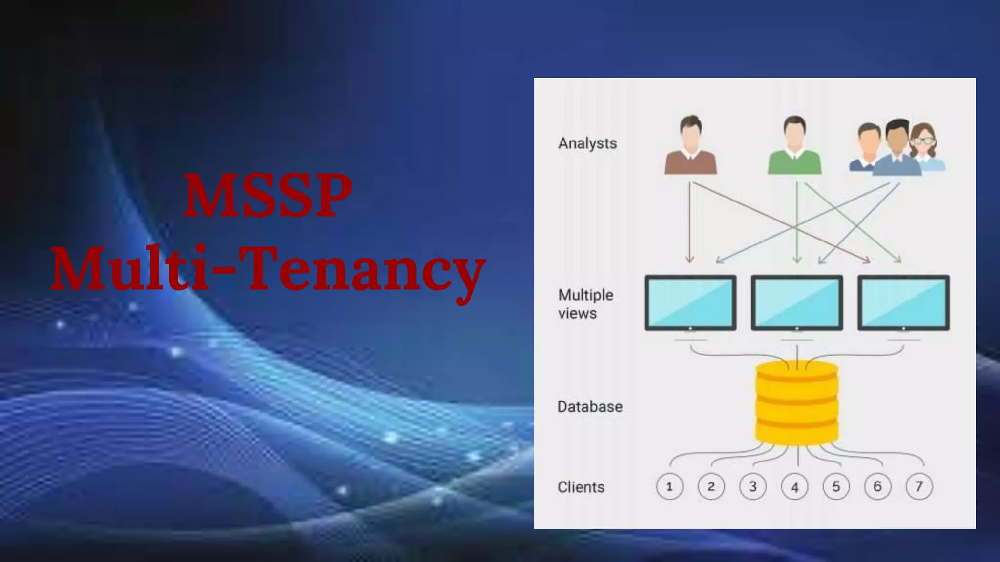 MSSP
Multi-Tenancy
 