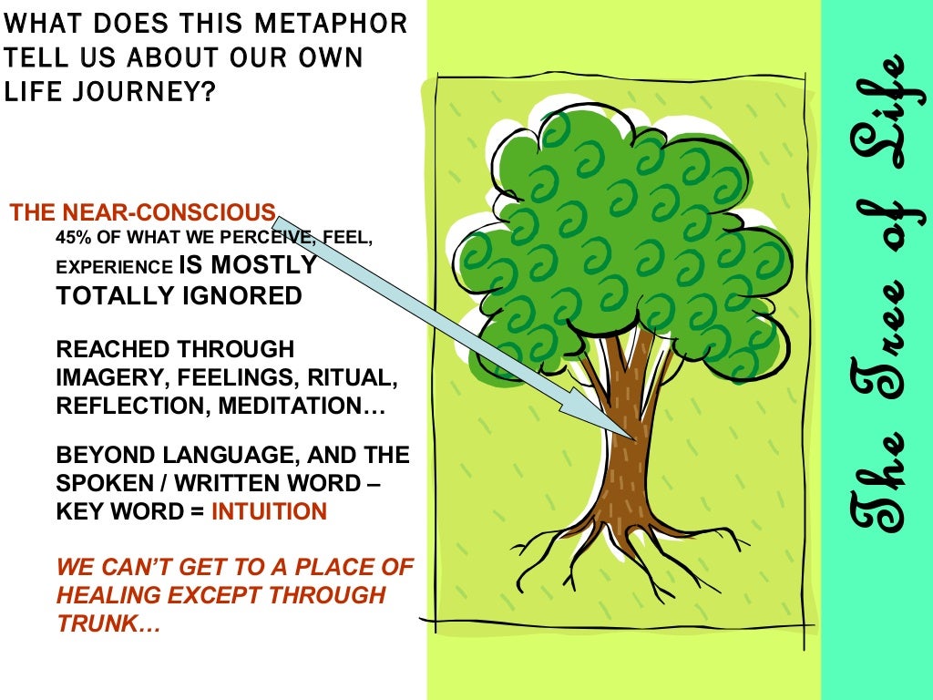 Self-Care And The Tree Of Life