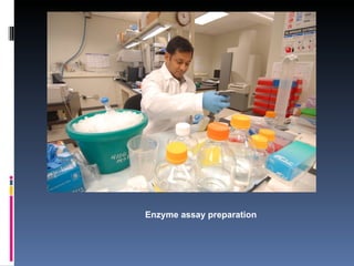 Enzyme assay preparation 