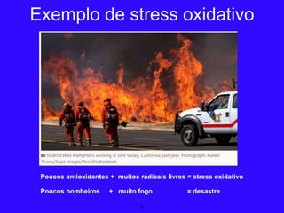 Poucos antioxidantes + muitos radicais livres = stress oxidativo
Poucos bombeiros + muito fogo = desastre
5
Exemplo de stress oxidativo
 