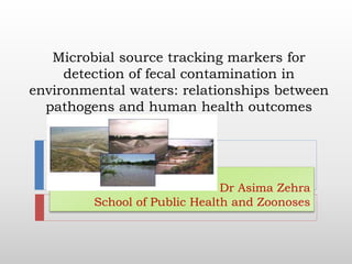 Microbial source tracking markers for
detection of fecal contamination in
environmental waters: relationships between
pathogens and human health outcomes
Dr Asima Zehra
School of Public Health and Zoonoses
 