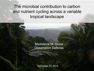 The microbial contribution to carbon 
and nutrient cycling across a variable 
tropical landscape 
Madeleine M. Stone 
Dissertation Defense 
November 21, 2014 
 