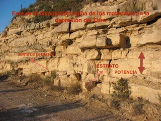 ESTRATO
POTENCIA
JUNTA DE ESTRATOS
Esta es la disposición típica de los materiales en la
depresión del Ebro
 
