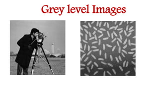 Grey level Images
 