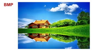 BMP
 