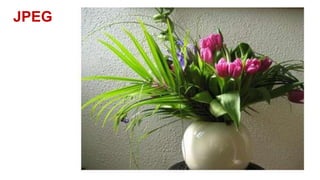JPEG
 