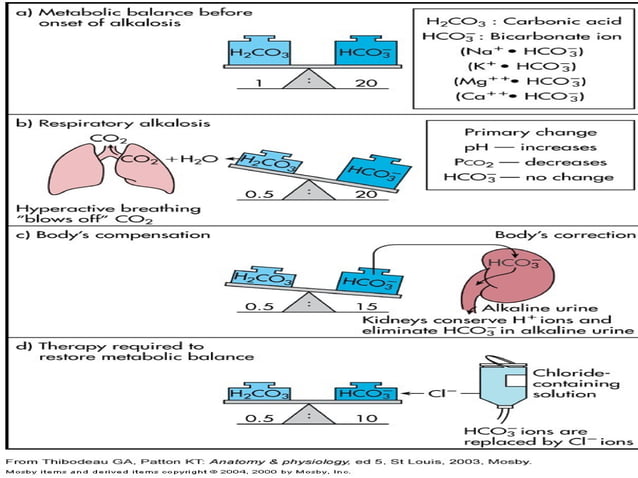 Picture Idea: Acid Base Imbalance In Medicine